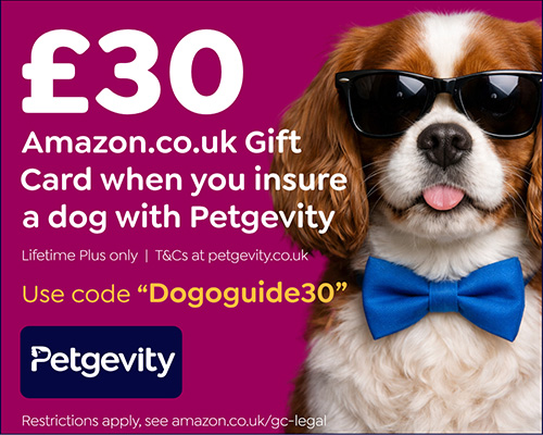 Petgevity - Amazon £30