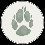 Dog Owners Guide