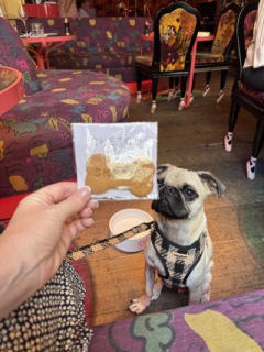 Photo from Dog Owners Guide's review