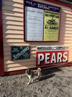 Photo from Dog Owners Guide's review