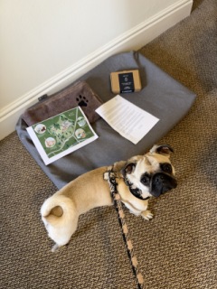 Photo from Dog Owners Guide's review